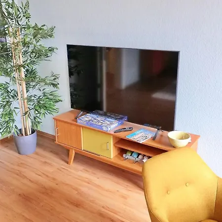 Papagei In Der Schweriner Altstadt - Abc569 Apartment